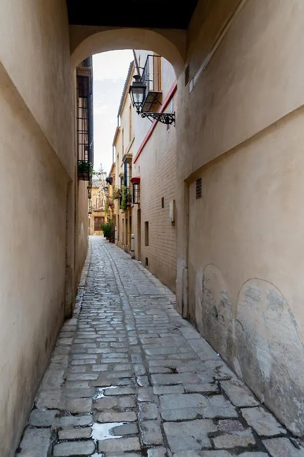 Bonito Callejon En La Juderia By Thegoodtourist 塞维利亚 0*,  西班牙